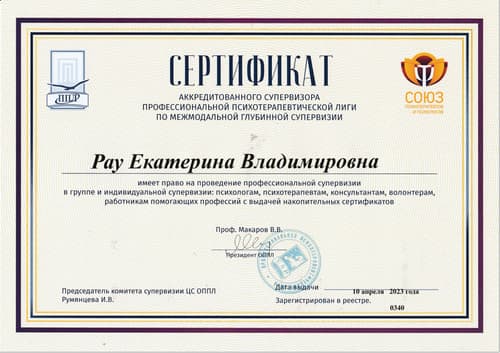 Диплом / сертификат Екатерины Рау 13
